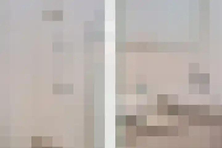 P C Boutenssingel 99 Capelle aan den IJssel thumbnail 53