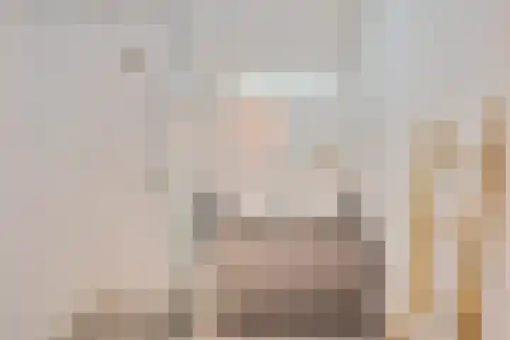 P C Boutenssingel 99 Capelle aan den IJssel thumbnail 54