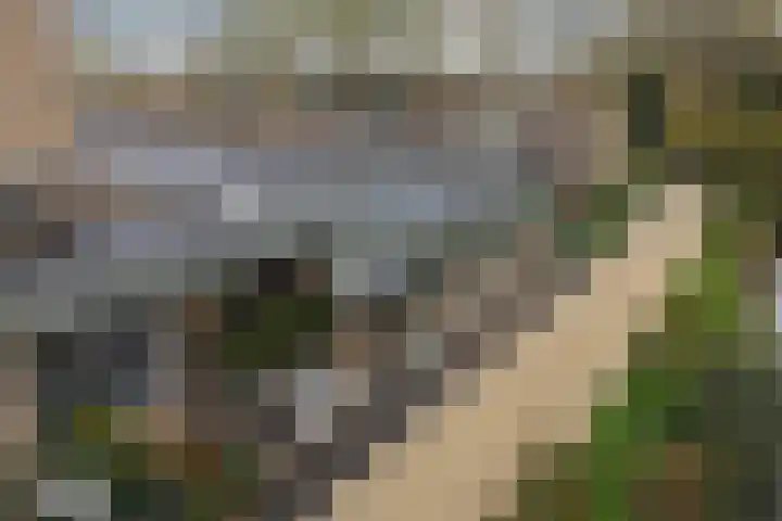 P C Boutenssingel 99 Capelle aan den IJssel thumbnail 8