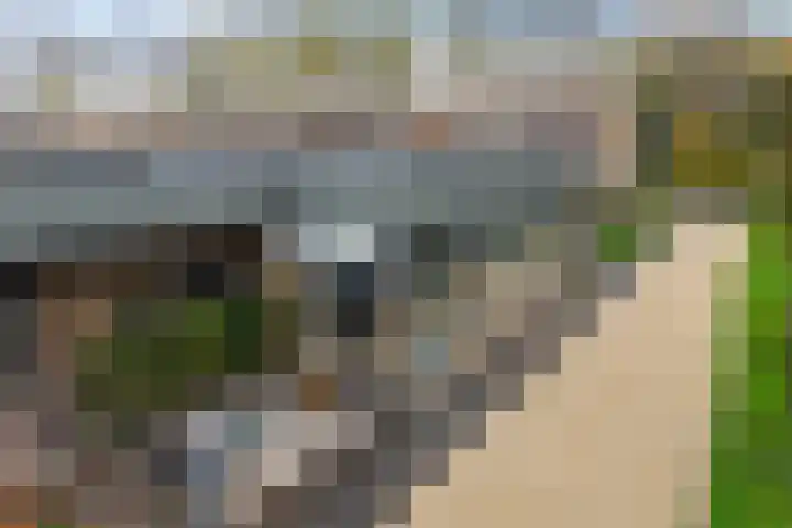 P C Boutenssingel 99 Capelle aan den IJssel thumbnail 9