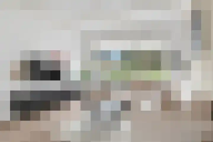 P C Boutensstraat 4 Nijverdal thumbnail 5