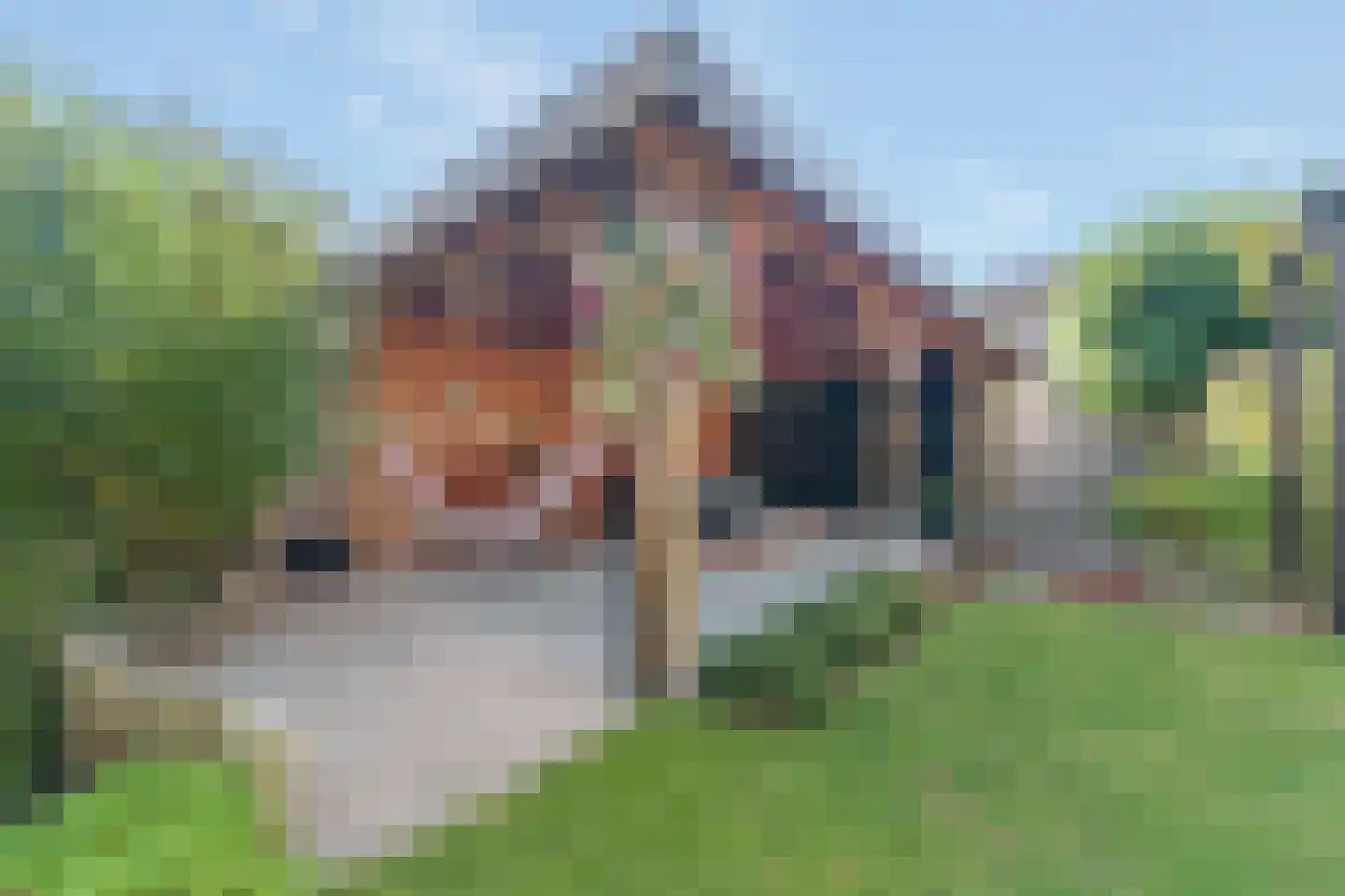 P C Boutensstraat 43 Nijverdal thumbnail 37