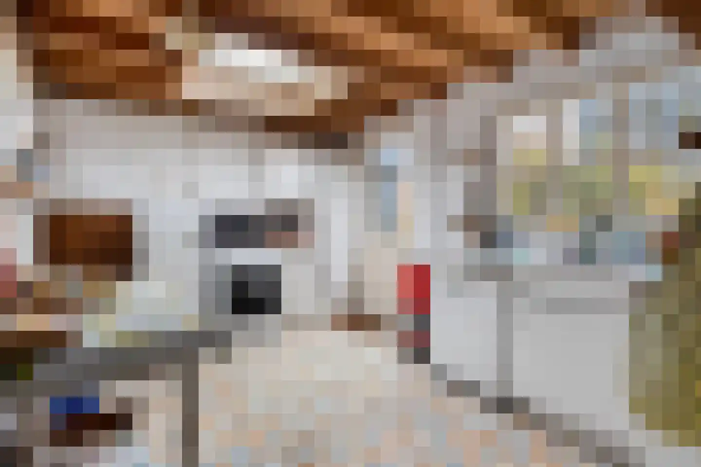 P.C. Boutensstraat 6 Waterlandkerkje thumbnail 18
