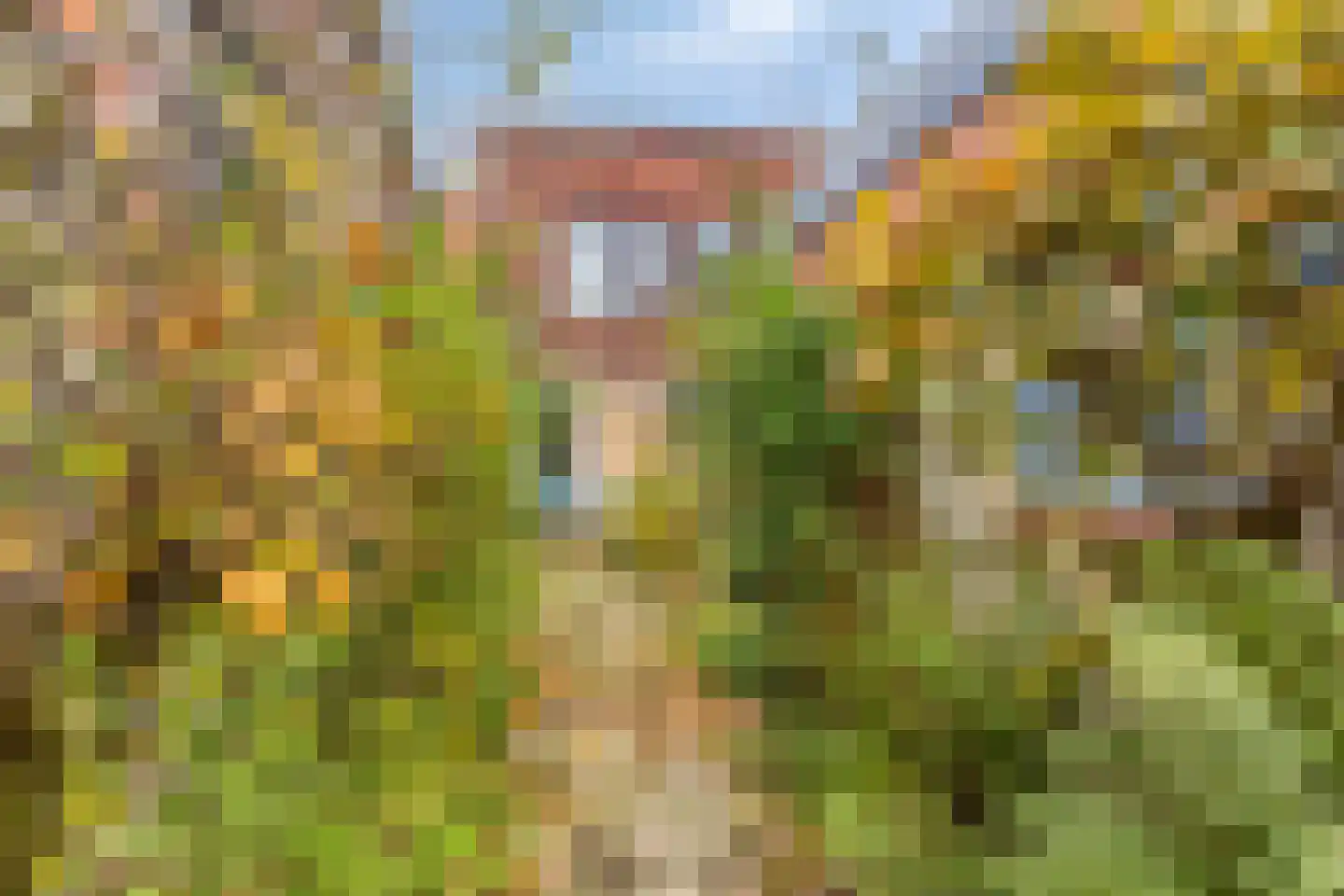 P.C. Boutensstraat 6 Waterlandkerkje thumbnail 31