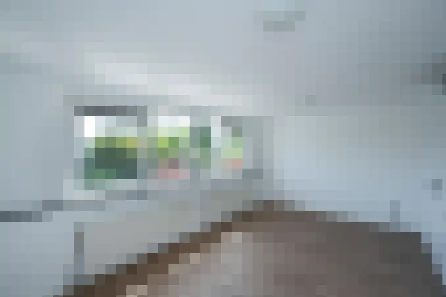 P.C. Boutensstraat 9 Almere thumbnail 17