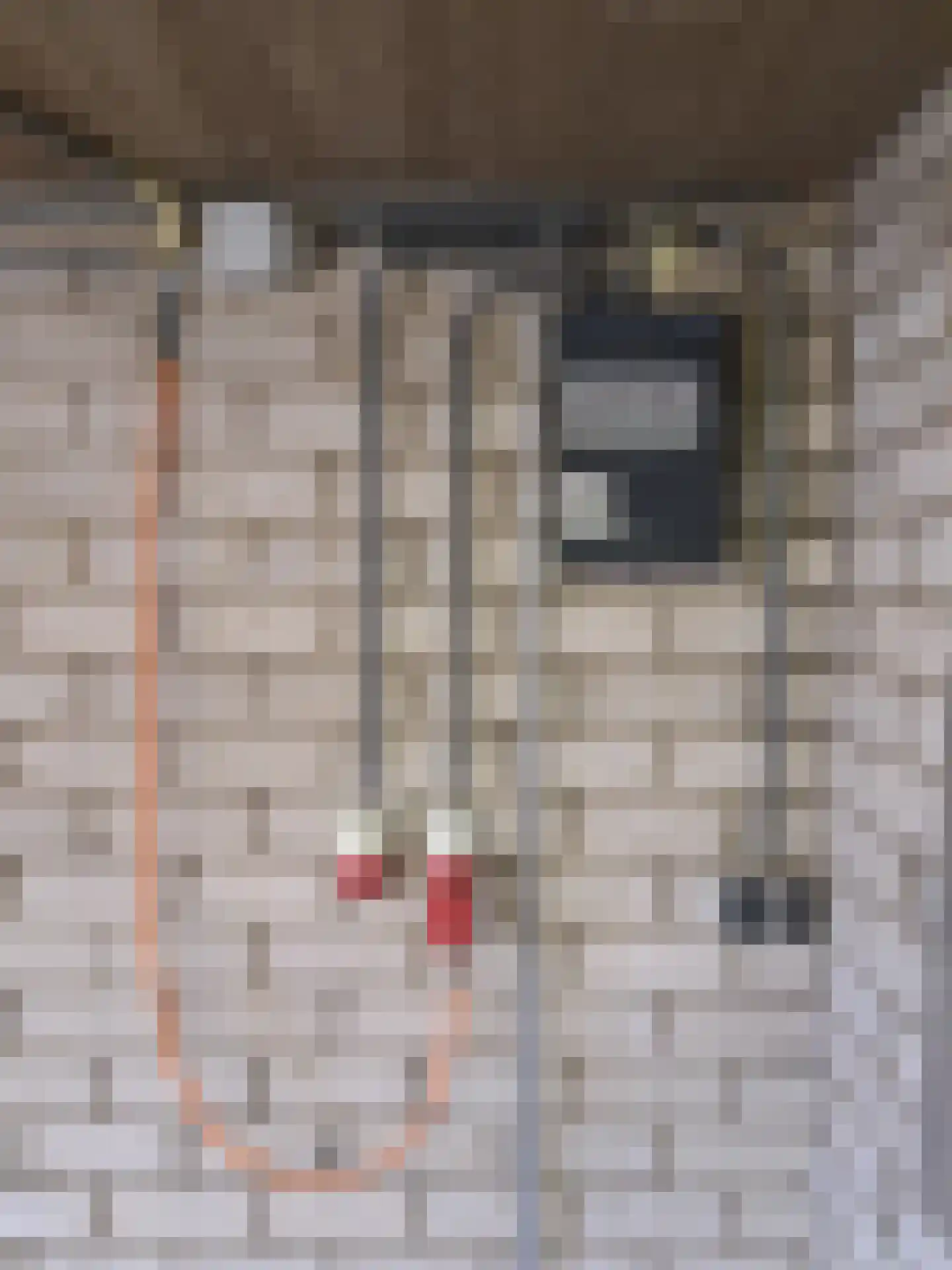 P.C. Boutensstraat 95 GA17 Almelo thumbnail 5