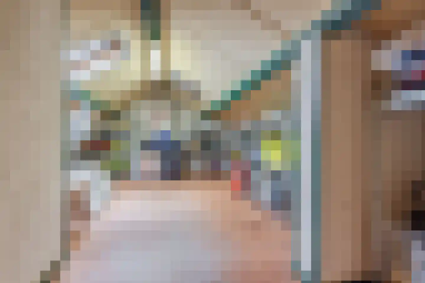 P C de Vinckstraat 9 Hellevoetsluis thumbnail 23