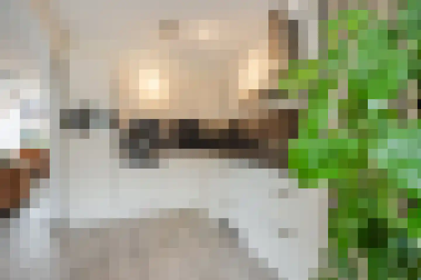 P C de Vinckstraat 9 Hellevoetsluis thumbnail 9