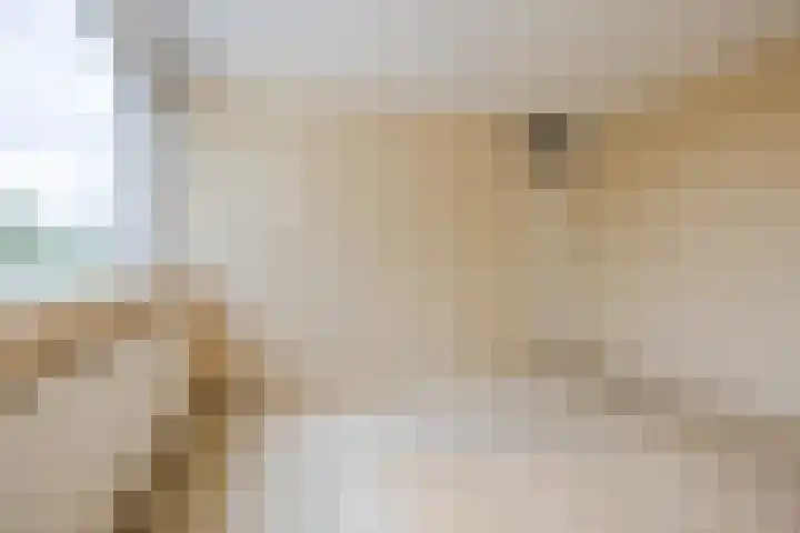 P.C. Hooftlaan 103 Papendrecht thumbnail 10