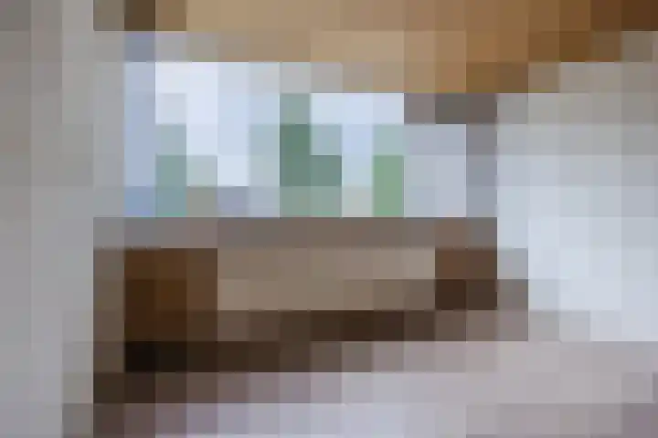 P.C. Hooftlaan 103 Papendrecht thumbnail 11