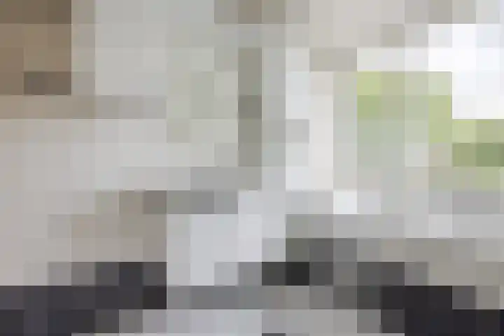 P.C. Hooftlaan 103 Papendrecht thumbnail 16