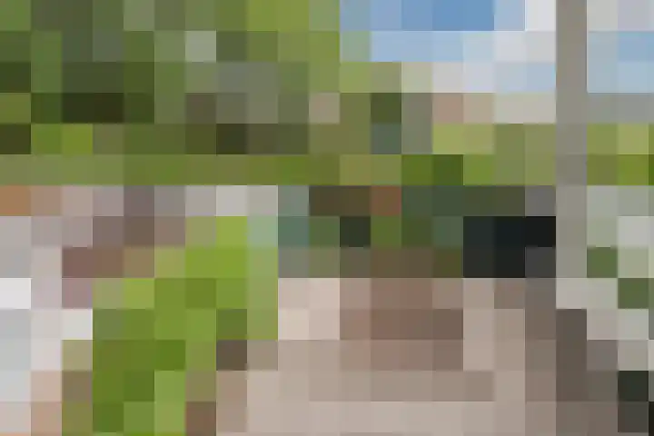 P.C. Hooftlaan 103 Papendrecht thumbnail 24