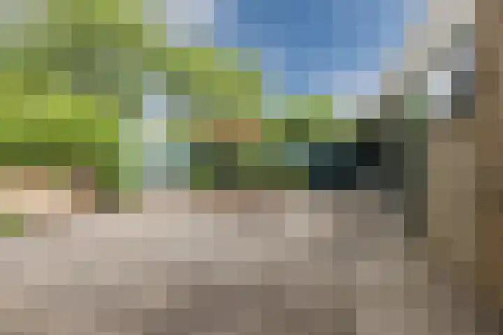 P.C. Hooftlaan 103 Papendrecht thumbnail 26