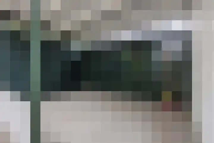 P.C. Hooftlaan 103 Papendrecht thumbnail 29