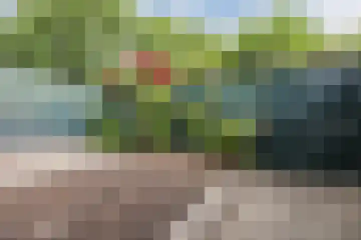 P.C. Hooftlaan 103 Papendrecht thumbnail 32