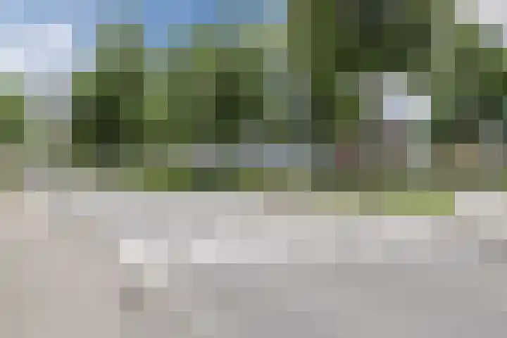 P.C. Hooftlaan 103 Papendrecht thumbnail 38