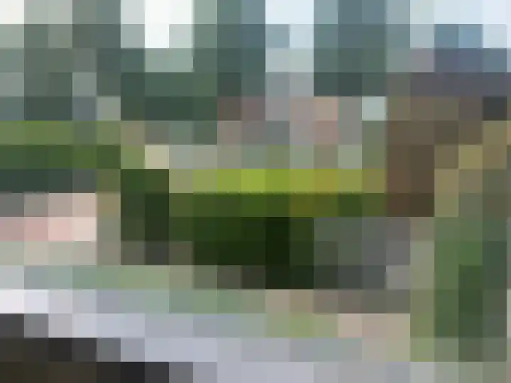 P.C. Hooftlaan 103 Papendrecht thumbnail 40