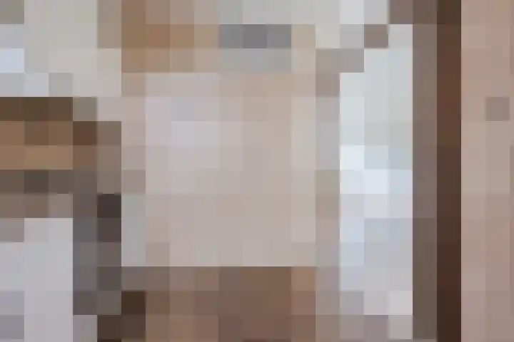 P.C. Hooftlaan 103 Papendrecht thumbnail 7
