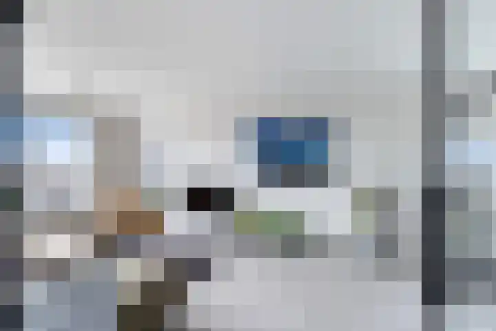 P.C. Hooftlaan 114 Papendrecht thumbnail 10