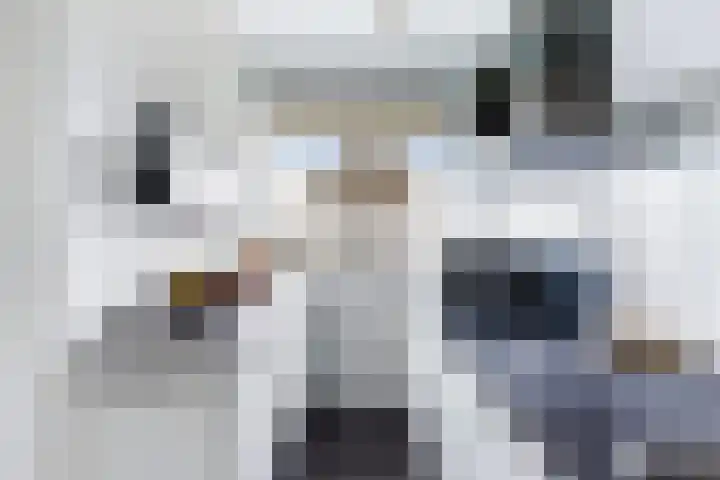 P.C. Hooftlaan 114 Papendrecht thumbnail 14