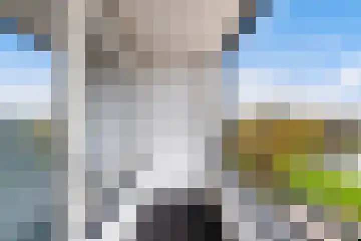 P.C. Hooftlaan 114 Papendrecht thumbnail 21