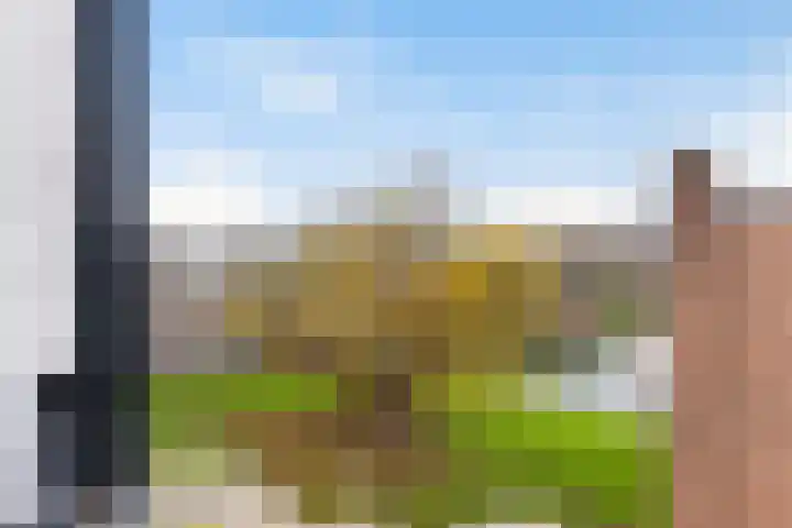 P.C. Hooftlaan 114 Papendrecht thumbnail 25