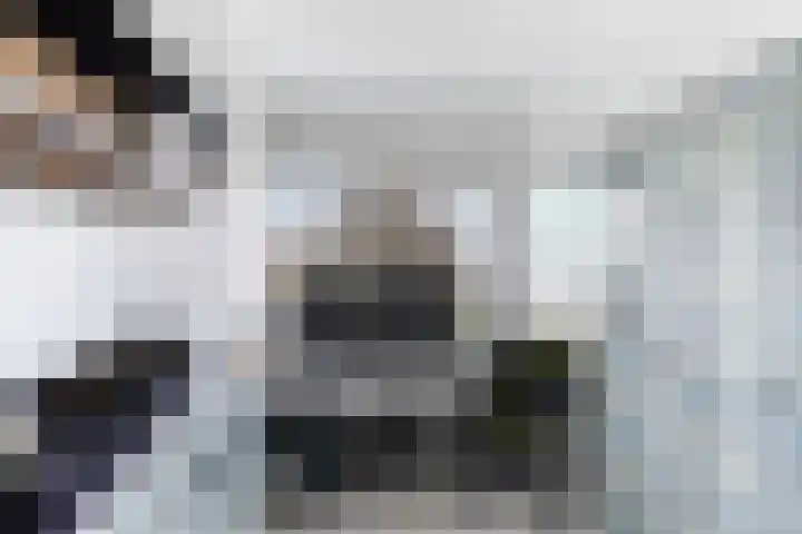 P.C. Hooftlaan 114 Papendrecht thumbnail 26