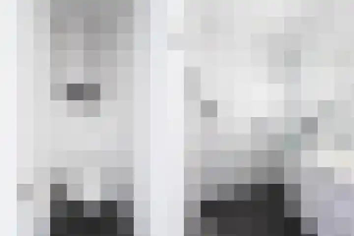P.C. Hooftlaan 114 Papendrecht thumbnail 28