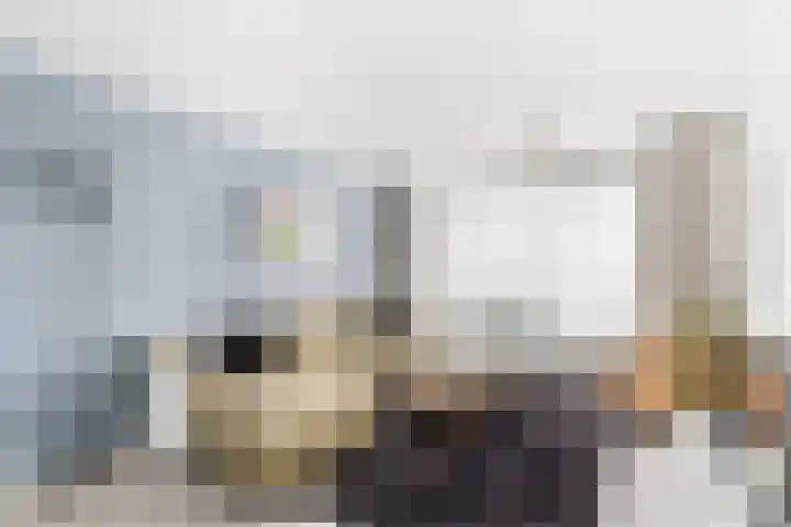 P.C. Hooftlaan 114 Papendrecht thumbnail 6