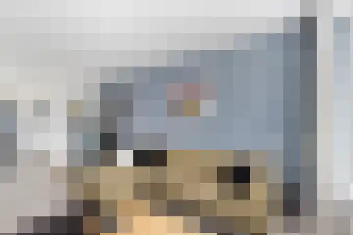 P.C. Hooftlaan 114 Papendrecht thumbnail 7