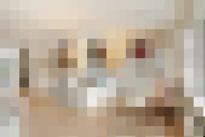P.C. Hooftlaan 12 Zeist thumbnail 16