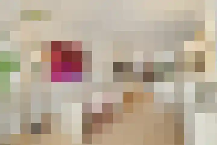P.C. Hooftlaan 12 Zeist thumbnail 17