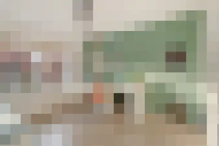 P.C. Hooftlaan 12 Zeist thumbnail 30