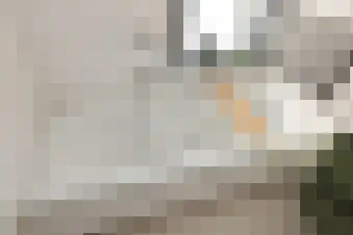 P.C. Hooftlaan 12 Zeist thumbnail 33