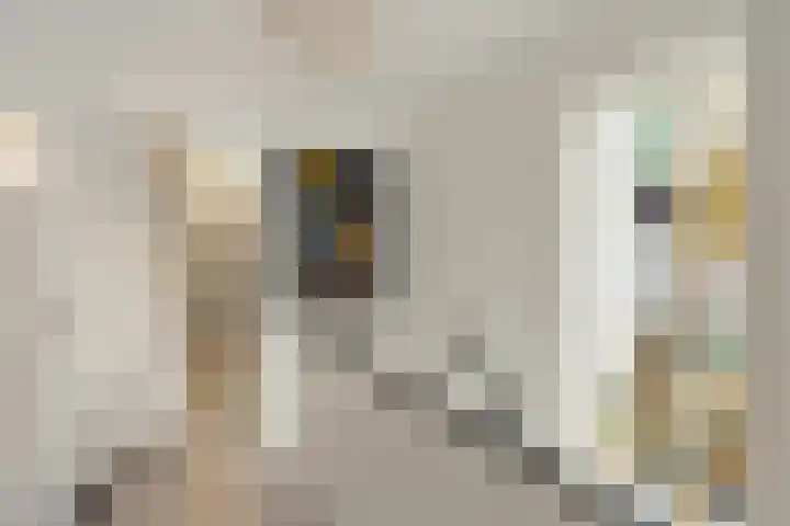 P.C. Hooftlaan 12 Zeist thumbnail 39