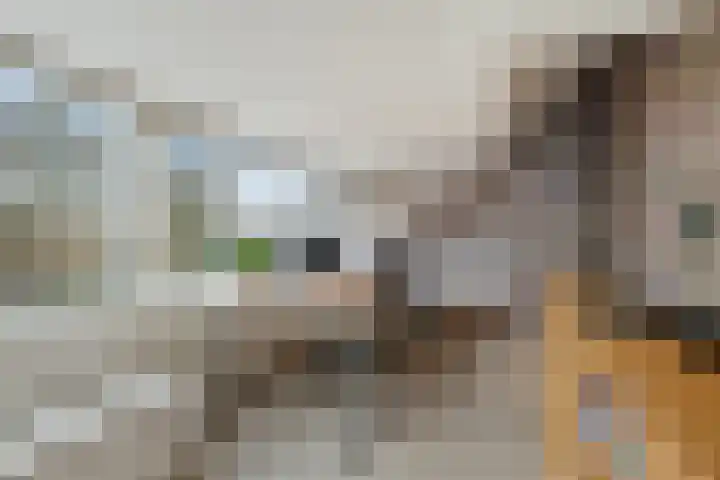 P.C. Hooftlaan 12 Zeist thumbnail 42