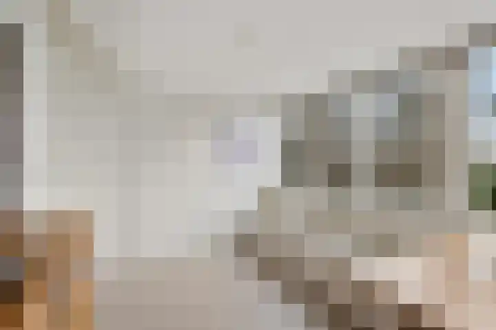 P.C. Hooftlaan 12 Zeist thumbnail 44