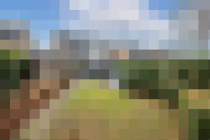 P.C. Hooftlaan 12 Zeist thumbnail 48