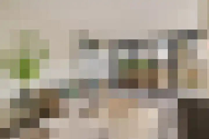 P.C. Hooftlaan 12 Zeist thumbnail 5