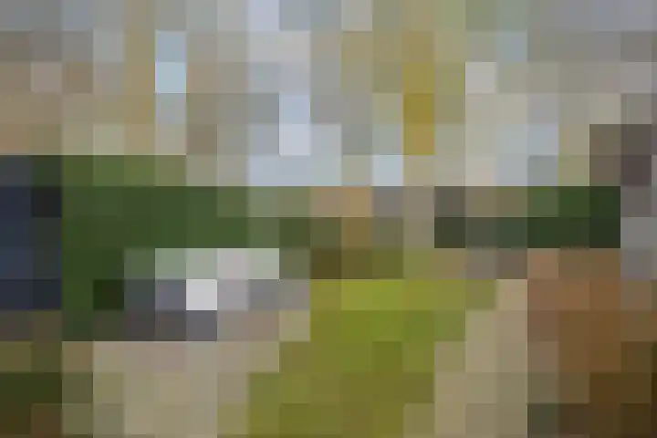 P.C. Hooftlaan 12 Zeist thumbnail 50