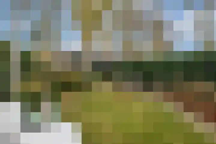 P.C. Hooftlaan 12 Zeist thumbnail 51