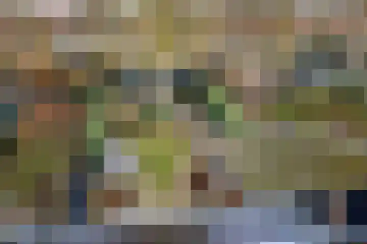 P.C. Hooftlaan 12 Zeist thumbnail 6