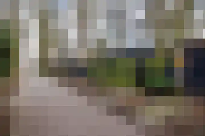 P.C. Hooftlaan 12 Zeist thumbnail 60