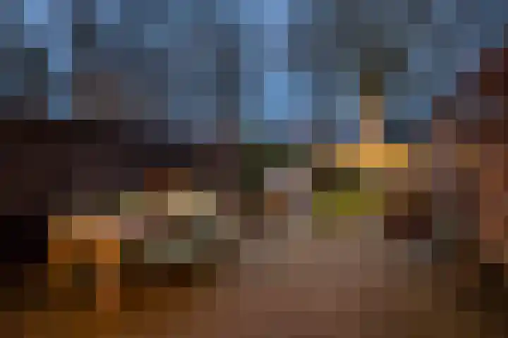 P.C. Hooftlaan 12 Zeist thumbnail 61