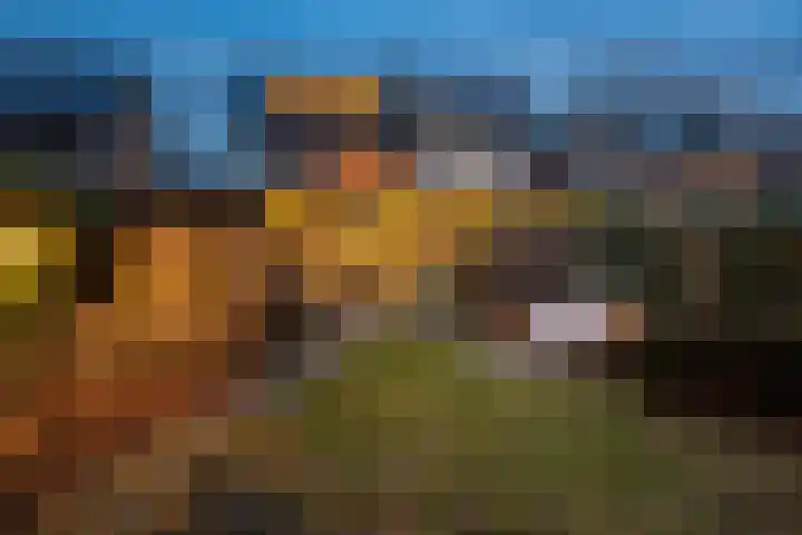 P.C. Hooftlaan 12 Zeist thumbnail 62