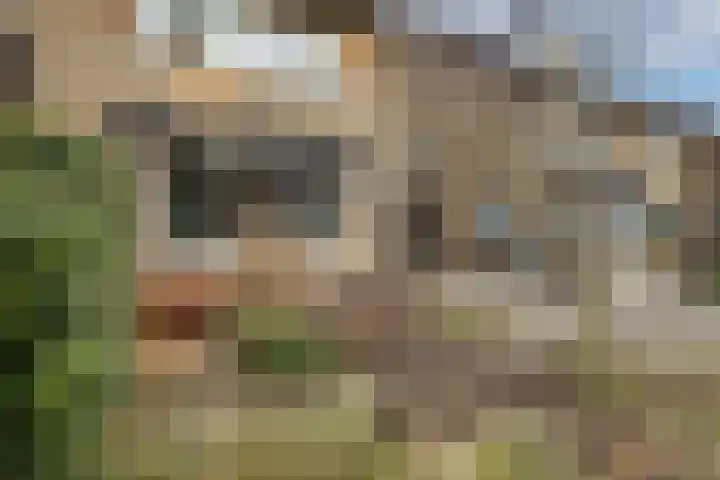 P.C. Hooftlaan 12 Zeist thumbnail 9