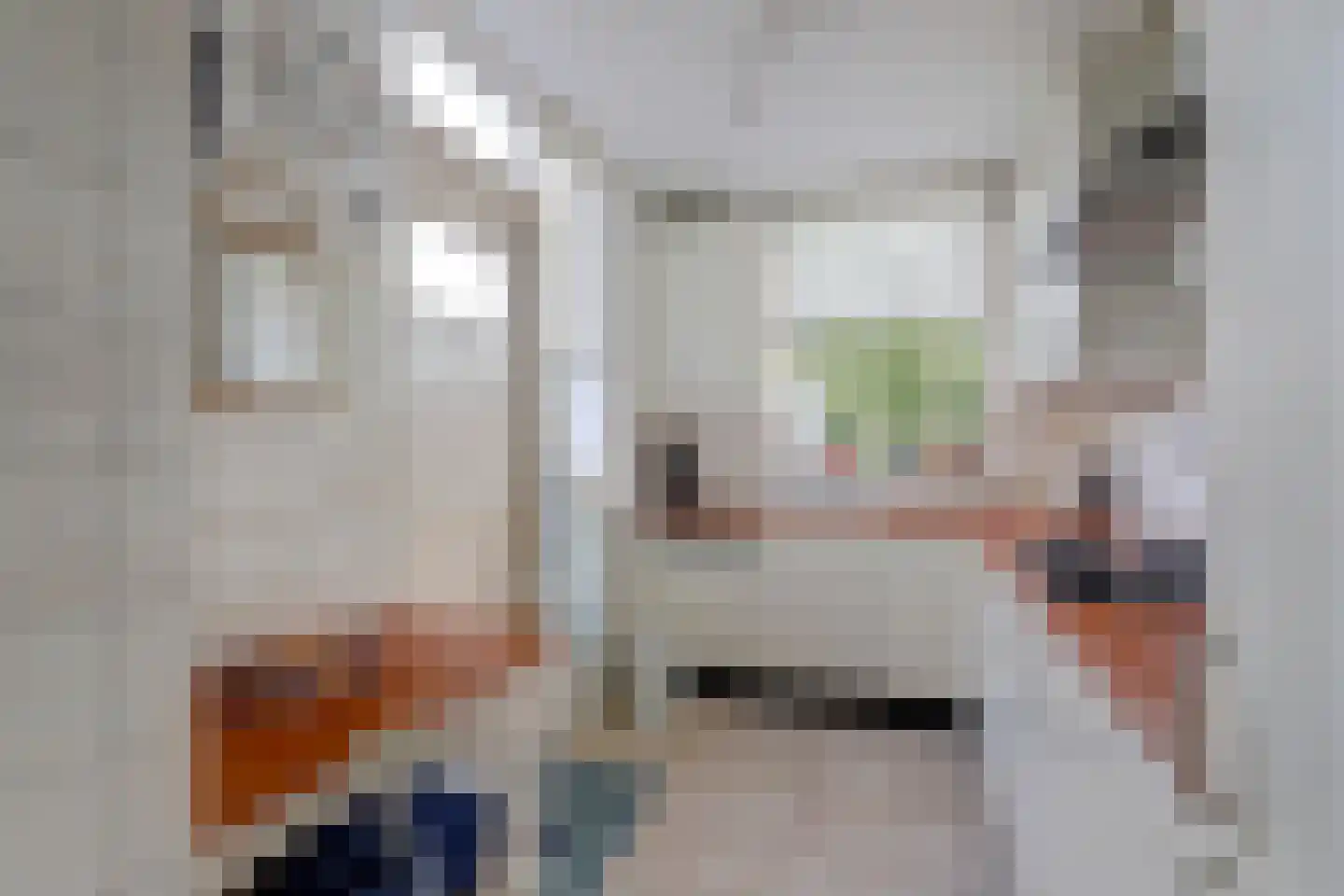 P.C. Hooftlaan 127 Papendrecht thumbnail 14