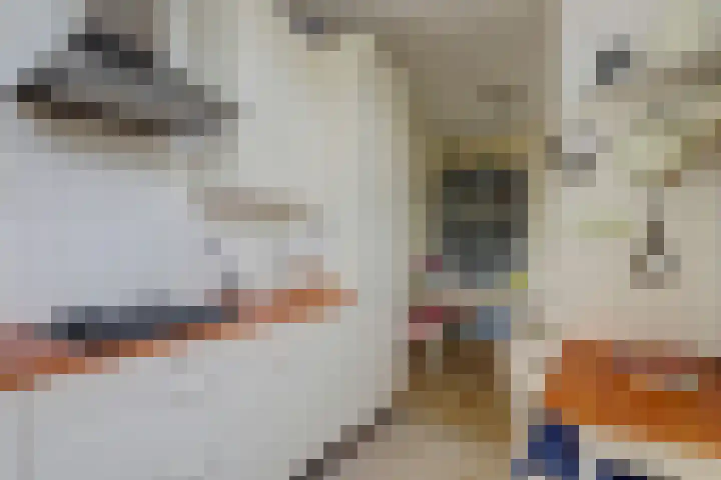 P.C. Hooftlaan 127 Papendrecht thumbnail 15