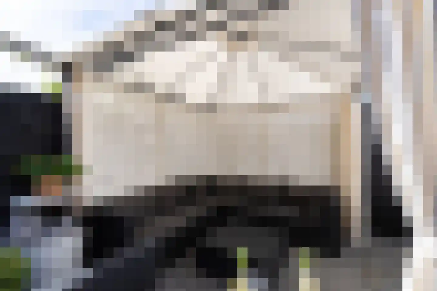 P.C. Hooftlaan 132 Papendrecht thumbnail 26
