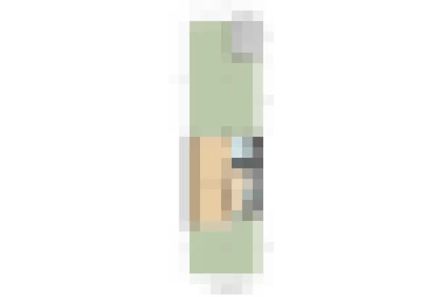 P.C. Hooftlaan 132 Papendrecht thumbnail 28